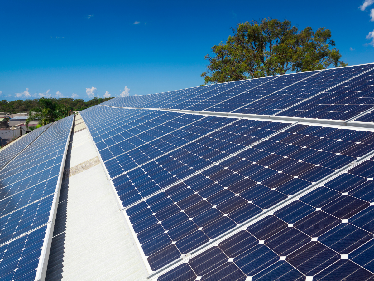 השכרת גג למערכת סולארית